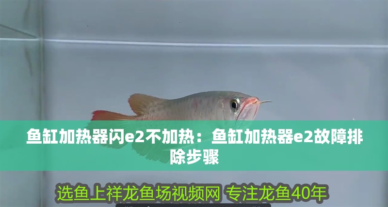魚缸加熱器閃e2不加熱：魚缸加熱器e2故障排除步驟 魚缸加熱器閃e2不加熱：魚缸加熱器e2故障排除步驟 魚缸百科