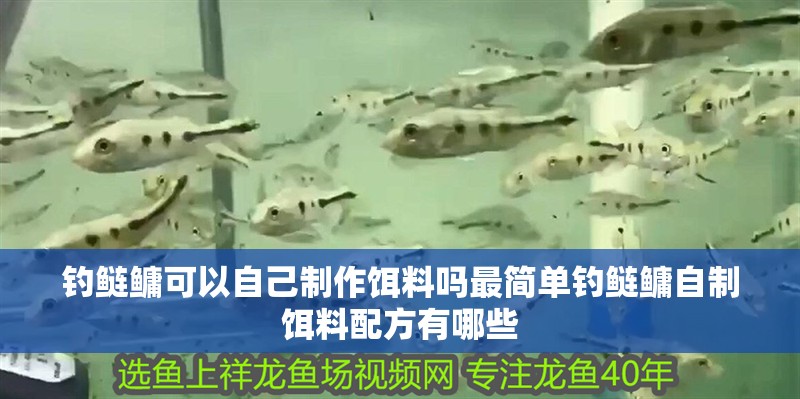 釣鰱鳙可以自己制作餌料嗎最簡單釣鰱鳙自制餌料配方有哪些 釣鰱鳙可以自己制作餌料嗎最簡單釣鰱鳙自制餌料配方有哪些 虎魚百科