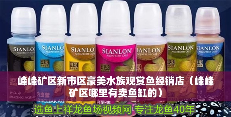 峰峰礦區(qū)新市區(qū)豪美水族觀賞魚經(jīng)銷店（峰峰礦區(qū)哪里有賣魚缸的）