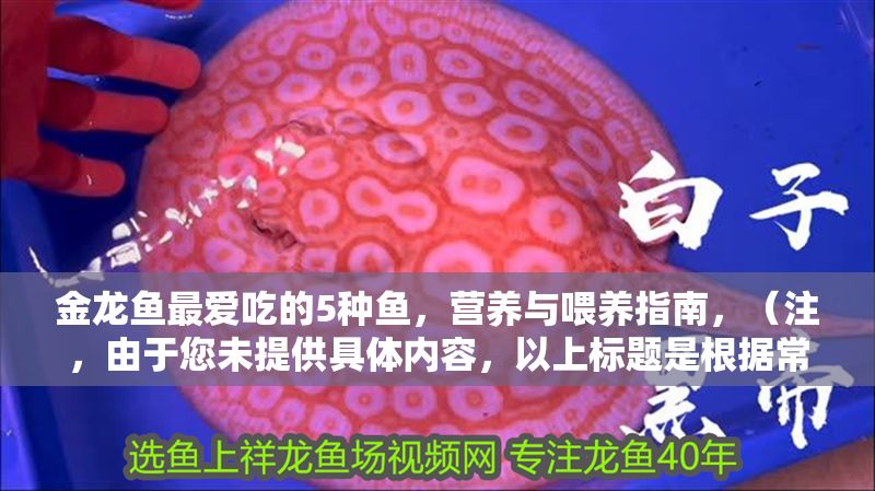 金龍魚最愛吃的5種魚，營養與喂養指南，（注，由于您未提供具體內容，以上標題是根據常見寵物魚飼養話題生成的示例。若您能提供相關文本，我將為您精準定制標題。）