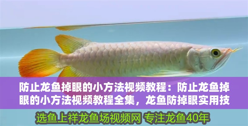 防止龍魚掉眼的小方法視頻教程：防止龍魚掉眼的小方法視頻教程全集，龍魚防掉眼實用技巧視頻全集