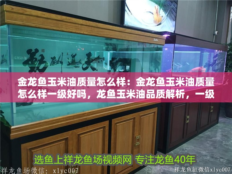 金龍魚玉米油質量怎么樣：金龍魚玉米油質量怎么樣一級好嗎，龍魚玉米油品質解析，一級標準 金龍魚玉米油質量怎么樣：金龍魚玉米油質量怎么樣一級好嗎，龍魚玉米油品質解析，一級標準 水族問答