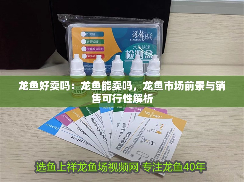 龍魚好賣嗎：龍魚能賣嗎，龍魚市場前景與銷售可行性解析