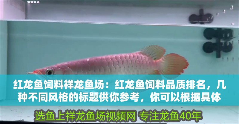 紅龍魚飼料祥龍魚場:紅龍魚飼料品質排名,幾種不同風格的標題供你參考,你可以根據具體需求進行選擇,,祥龍魚場紅龍魚飼料,品質排名大揭秘,聚焦祥龍魚場!紅龍魚飼料品質排名全解析,探秘祥龍魚場,解鎖紅龍 水族問答 紅龍魚飼料祥龍魚場:紅龍魚飼料品質排名,幾種不同風格的標題供你參考,你可以根據具體需求進行選擇,,祥龍魚場紅龍魚飼料,品質排名大揭秘,聚焦祥龍魚場!紅龍魚飼料品質排名全解析,探秘祥龍魚場,解鎖紅龍 紅龍魚飼料祥龍魚場:紅龍魚飼料品質排名,幾種不同風格的標題供你參考,你可以根據具體需求進行選擇,,祥龍魚場紅龍魚飼料,品質排名大揭秘,聚焦祥龍魚場!紅龍魚飼料品質排名全解析,探秘祥龍魚場,解鎖紅龍 水族問答