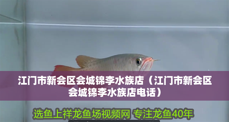 江門市新會區(qū)會城錦李水族店（江門市新會區(qū)會城錦李水族店電話） 江門市新會區(qū)會城錦李水族店（江門市新會區(qū)會城錦李水族店電話） 全國水族館企業(yè)名錄 第2張