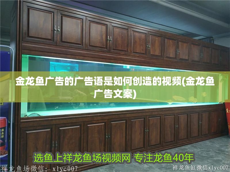 金龍魚廣告的廣告語(yǔ)是如何創(chuàng)造的視頻(金龍魚廣告文案)