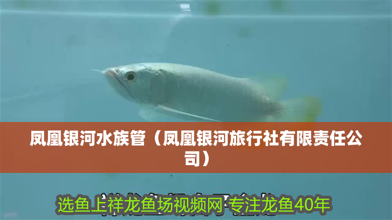 鳳凰銀河水族管（鳳凰銀河旅行社有限責(zé)任公司）
