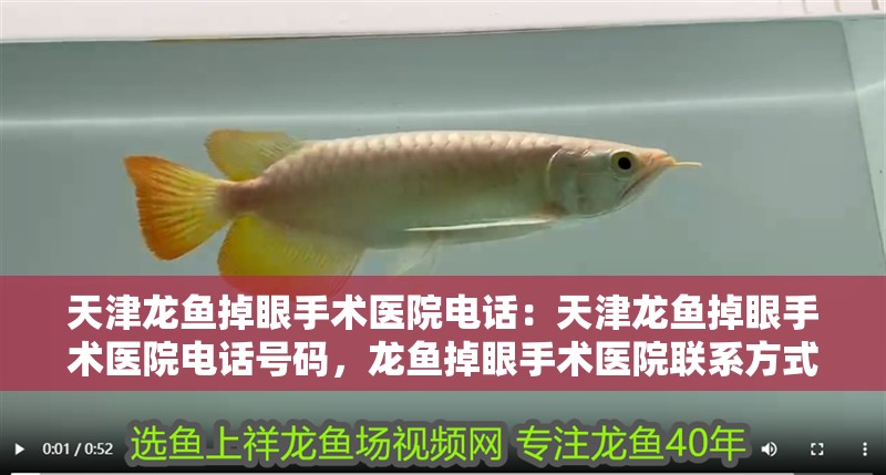 天津龍魚掉眼手術醫院電話：天津龍魚掉眼手術醫院電話號碼，龍魚掉眼手術醫院聯系方式及電話 天津龍魚掉眼手術醫院電話：天津龍魚掉眼手術醫院電話號碼，龍魚掉眼手術醫院聯系方式及電話 水族問答