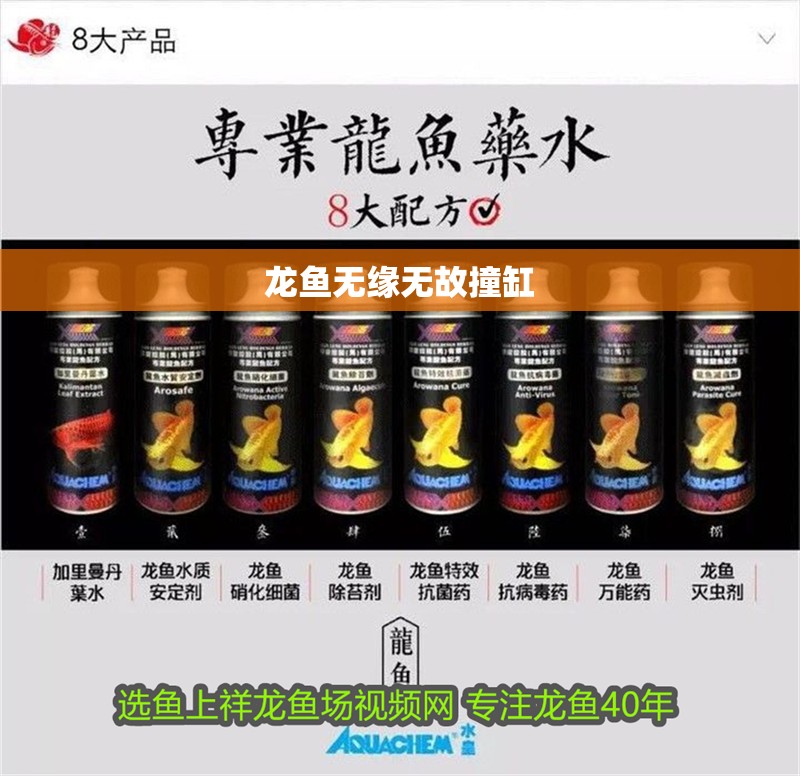 龍魚無(wú)緣無(wú)故撞缸