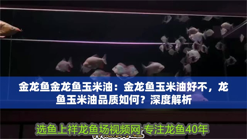 金龍魚金龍魚玉米油：金龍魚玉米油好不，龍魚玉米油品質(zhì)如何？深度解析