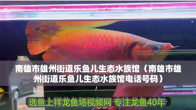 南雄市雄州街道樂(lè)魚(yú)兒生態(tài)水族館（南雄市雄州街道樂(lè)魚(yú)兒生態(tài)水族館電話號(hào)碼）