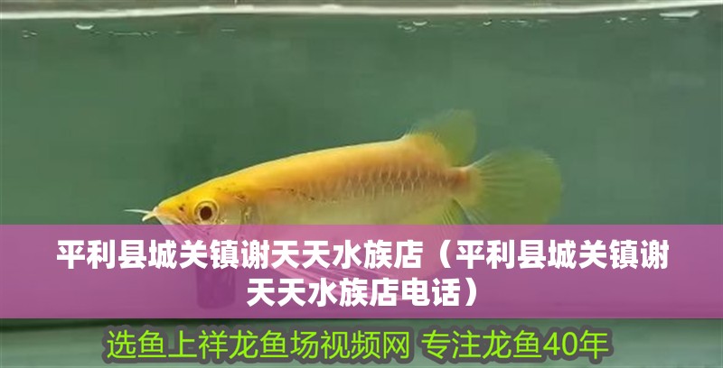 平利縣城關鎮謝天天水族店(平利縣城關鎮謝天天水族店電話) 全國水族館企業名錄 第2張 平利縣城關鎮謝天天水族店(平利縣城關鎮謝天天水族店電話) 平利縣城關鎮謝天天水族店(平利縣城關鎮謝天天水族店電話) 全國水族館企業名錄 第2張