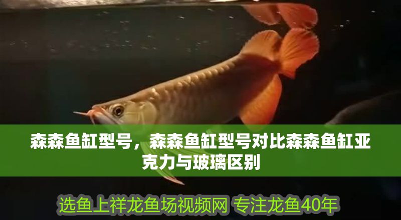 森森魚缸型號，森森魚缸型號對比森森魚缸亞克力與玻璃區別