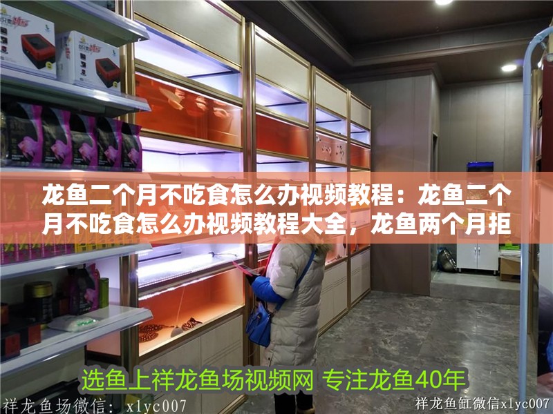 龍魚(yú)二個(gè)月不吃食怎么辦視頻教程：龍魚(yú)二個(gè)月不吃食怎么辦視頻教程大全，龍魚(yú)兩個(gè)月拒食應(yīng)對(duì)全攻略視頻