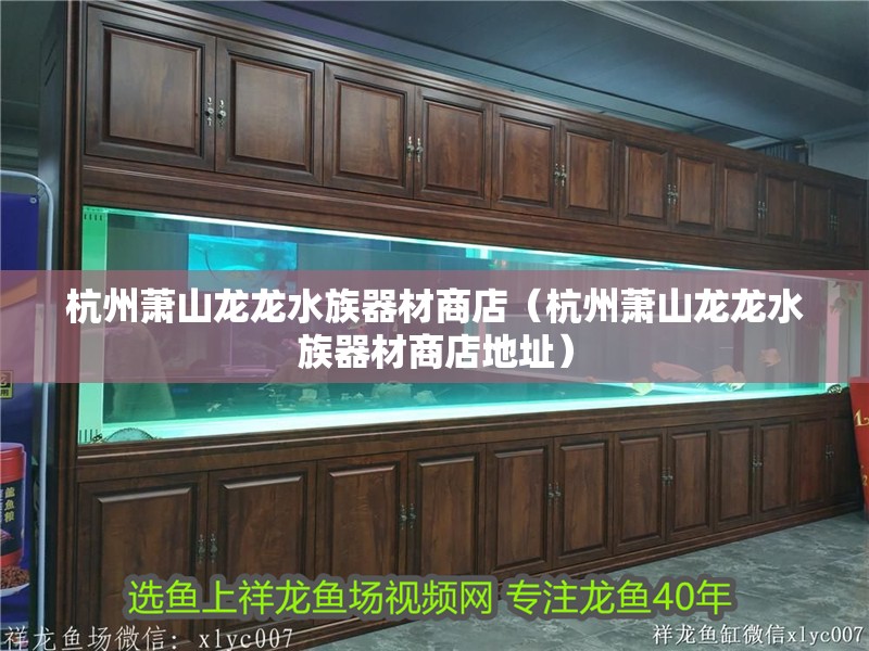 杭州蕭山龍龍水族器材商店（杭州蕭山龍龍水族器材商店地址） 杭州蕭山龍龍水族器材商店（杭州蕭山龍龍水族器材商店地址） 全國(guó)水族館企業(yè)名錄 第2張