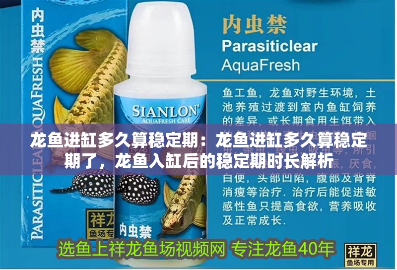 龍魚進缸多久算穩定期：龍魚進缸多久算穩定期了，龍魚入缸后的穩定期時長解析 龍魚進缸多久算穩定期：龍魚進缸多久算穩定期了，龍魚入缸后的穩定期時長解析 水族問答