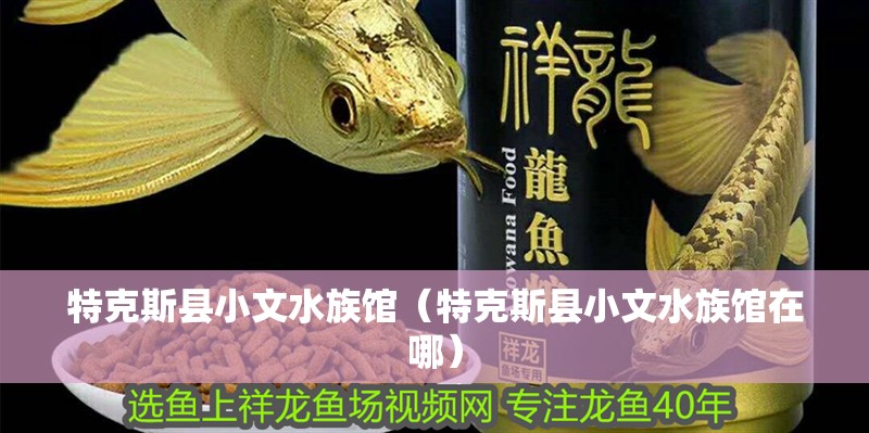 特克斯縣小文水族館（特克斯縣小文水族館在哪）