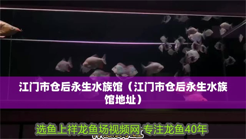 江門市倉后永生水族館（江門市倉后永生水族館地址）