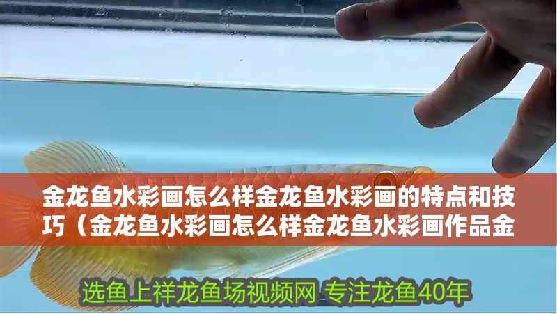 金龍魚水彩畫怎么樣金龍魚水彩畫的特點和技巧（金龍魚水彩畫怎么樣金龍魚水彩畫作品金龍魚水彩畫作品）