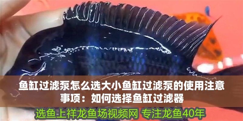 魚缸過濾泵怎么選大小魚缸過濾泵的使用注意事項：如何選擇魚缸過濾器