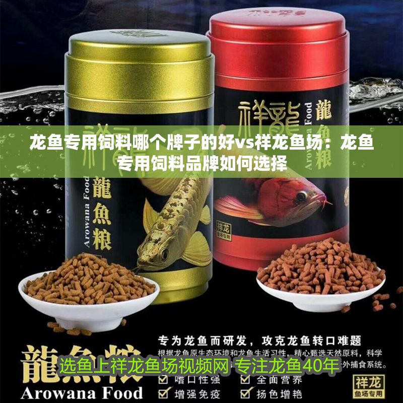 龍魚專用飼料哪個牌子的好vs祥龍魚場：龍魚專用飼料品牌如何選擇