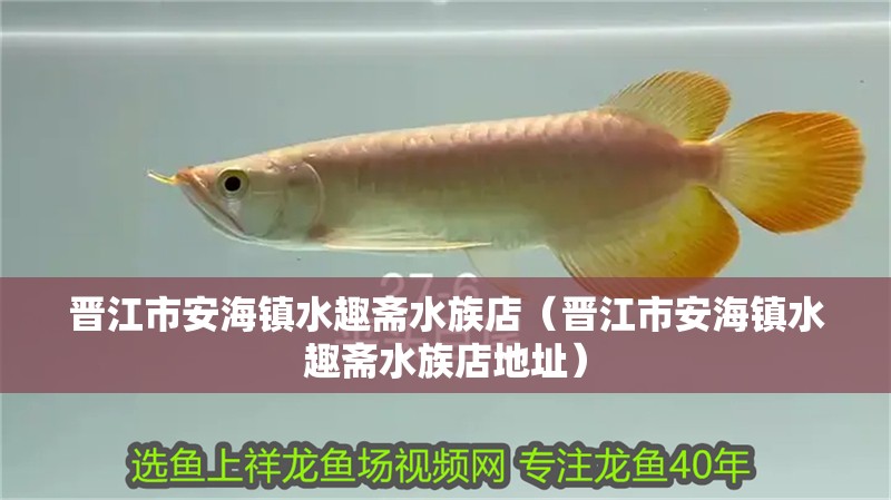 晉江市安海鎮水趣齋水族店(晉江市安海鎮水趣齋水族店地址) 全國水族館企業名錄 第2張 晉江市安海鎮水趣齋水族店(晉江市安海鎮水趣齋水族店地址) 晉江市安海鎮水趣齋水族店(晉江市安海鎮水趣齋水族店地址) 全國水族館企業名錄 第2張