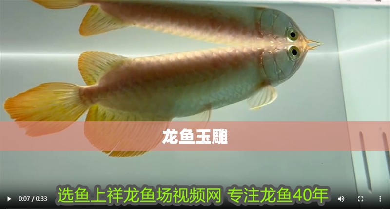 龍魚玉雕