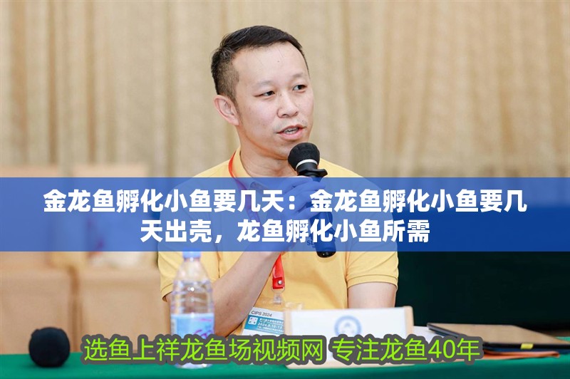金龍魚孵化小魚要幾天：金龍魚孵化小魚要幾天出殼，龍魚孵化小魚所需 金龍魚孵化小魚要幾天：金龍魚孵化小魚要幾天出殼，龍魚孵化小魚所需 水族問答