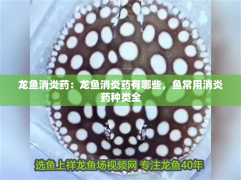 龍魚消炎藥：龍魚消炎藥有哪些，魚常用消炎藥種類全