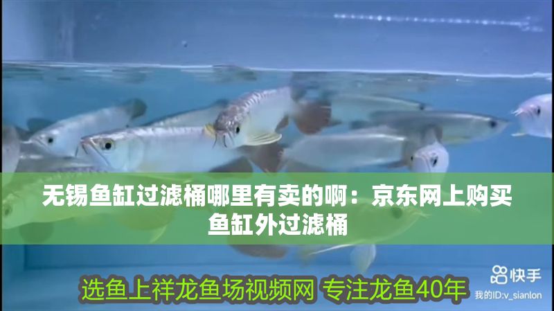 無(wú)錫魚缸過(guò)濾桶哪里有賣的啊：京東網(wǎng)上購(gòu)買魚缸外過(guò)濾桶