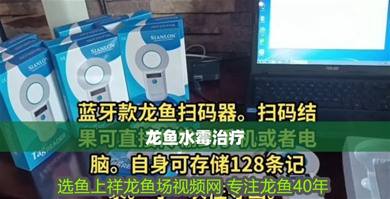龍魚水霉治療