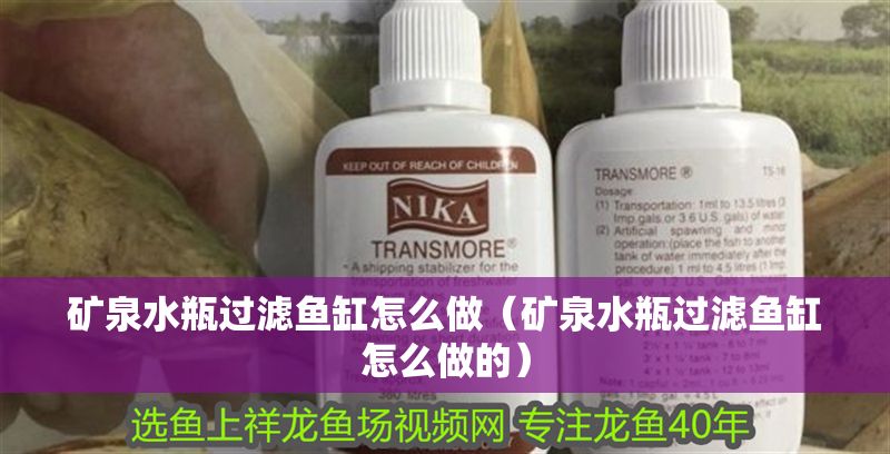 礦泉水瓶過濾魚缸怎么做（礦泉水瓶過濾魚缸怎么做的）