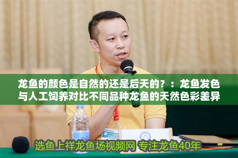 龍魚的顏色是自然的還是后天的？：龍魚發色與人工飼養對比不同品種龍魚的天然色彩差異 龍魚的顏色是自然的還是后天的？：龍魚發色與人工飼養對比不同品種龍魚的天然色彩差異 龍魚百科