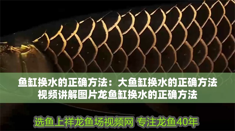 魚缸換水的正確方法：大魚缸換水的正確方法視頻講解圖片龍魚缸換水的正確方法