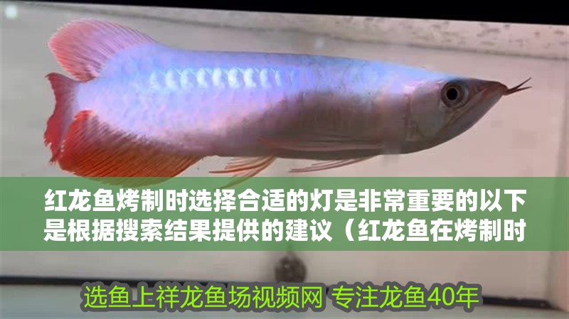 紅龍魚烤制時選擇合適的燈是非常重要的以下是根據搜索結果提供的建議（紅龍魚在烤制時選擇合適的燈是非常重要的）