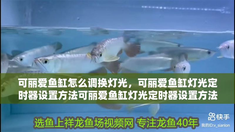 可麗愛魚缸怎么調換燈光，可麗愛魚缸燈光定時器設置方法可麗愛魚缸燈光定時器設置方法 可麗愛魚缸怎么調換燈光，可麗愛魚缸燈光定時器設置方法可麗愛魚缸燈光定時器設置方法 魚缸百科 第2張