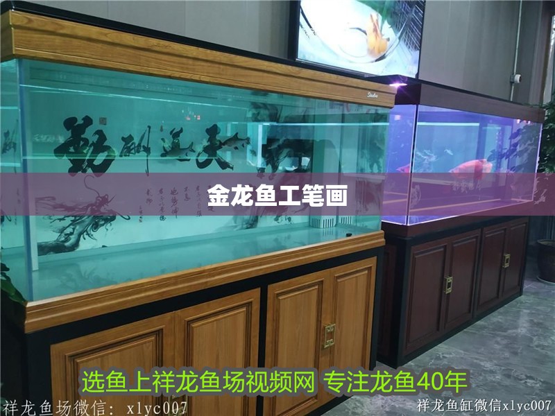 金龍魚工筆畫