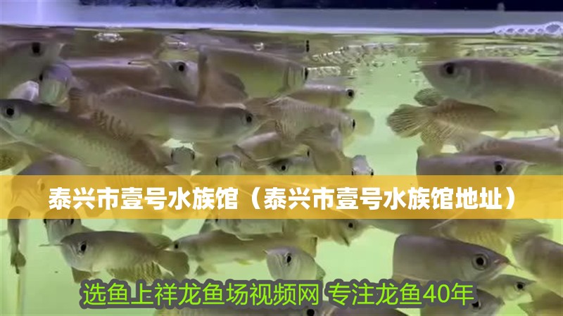 泰興市壹號水族館（泰興市壹號水族館地址） 泰興市壹號水族館（泰興市壹號水族館地址） 全國水族館企業名錄 第2張