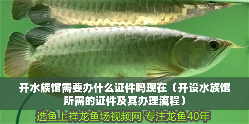 開水族館需要辦什么證件嗎現(xiàn)在（開設(shè)水族館所需的證件及其辦理流程） 開水族館需要辦什么證件嗎現(xiàn)在（開設(shè)水族館所需的證件及其辦理流程） 水族館百科（水族館加盟） 第1張