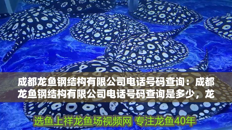 成都龍魚鋼結(jié)構(gòu)有限公司電話號碼查詢：成都龍魚鋼結(jié)構(gòu)有限公司電話號碼查詢是多少，龍魚鋼結(jié)構(gòu)有限公司電話號碼 成都龍魚鋼結(jié)構(gòu)有限公司電話號碼查詢：成都龍魚鋼結(jié)構(gòu)有限公司電話號碼查詢是多少，龍魚鋼結(jié)構(gòu)有限公司電話號碼 水族問答