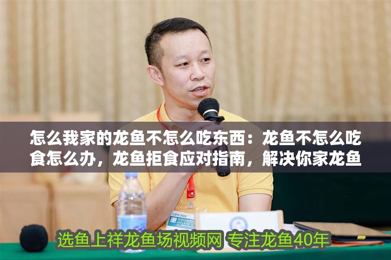 怎么我家的龍魚(yú)不怎么吃東西：龍魚(yú)不怎么吃食怎么辦，龍魚(yú)拒食應(yīng)對(duì)指南，解決你家龍魚(yú)不吃東西的難題