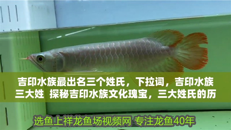 吉印水族最出名三個姓氏，吉印水族三大姓 探秘吉印水族文化瑰寶，三大姓氏的歷史傳承與獨特