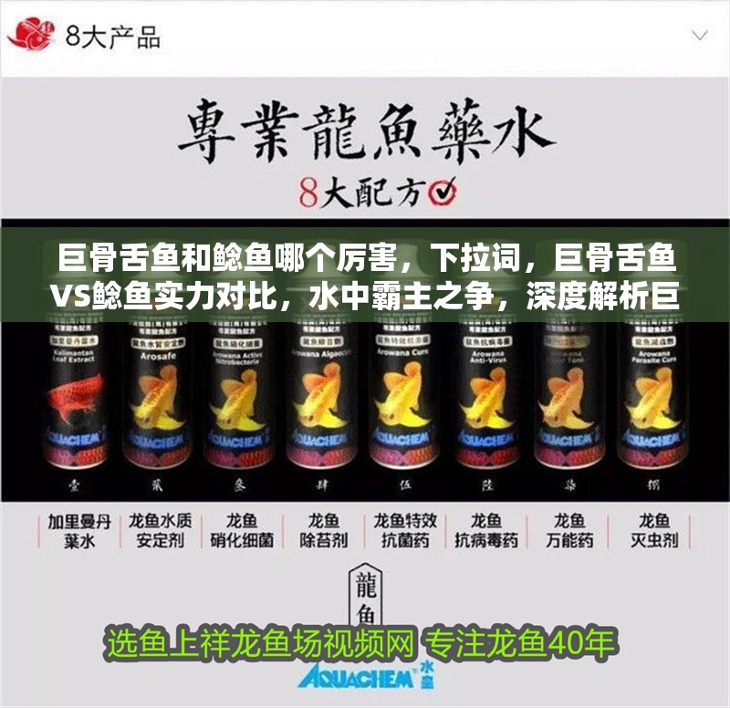 巨骨舌魚和鯰魚哪個厲害，巨骨舌魚VS鯰魚實力對比，水中霸主之爭，深度解析巨骨舌魚與鯰魚