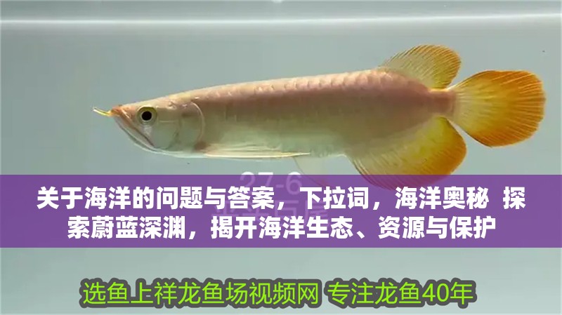 關于海洋的問題與答案，海洋奧秘  探索蔚藍深淵，揭開海洋生態、資源與保護