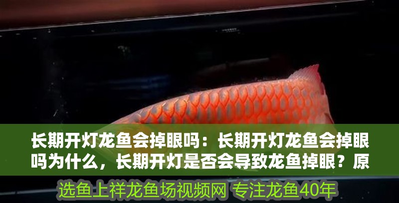 長期開燈龍魚會掉眼嗎：長期開燈龍魚會掉眼嗎為什么，長期開燈是否會導致龍魚掉眼？原因深度解析