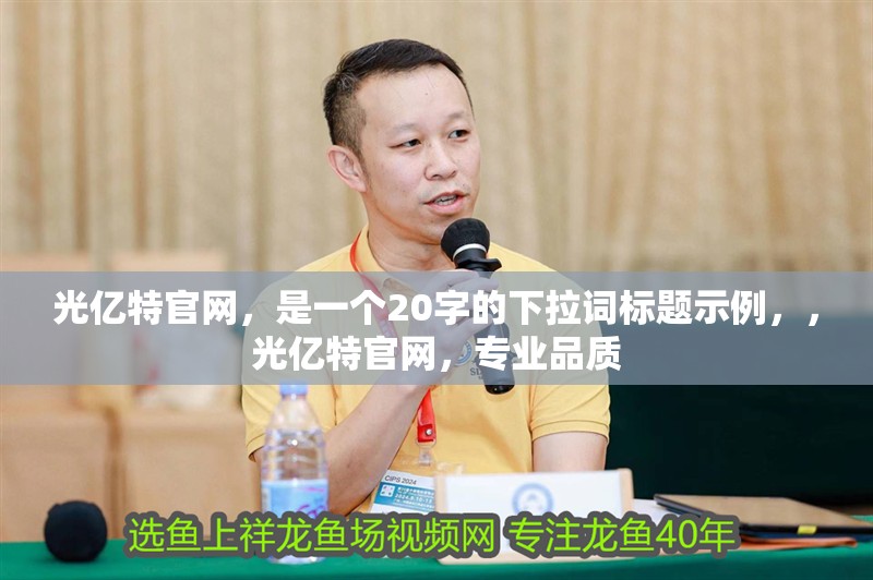 光億特官網，是一個20字的下拉詞標題示例，，光億特官網，專業品質