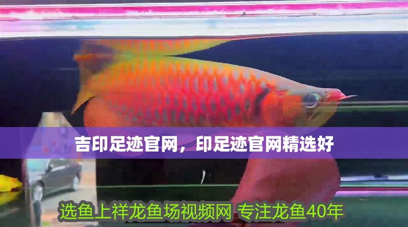 吉印足跡官網，印足跡官網精選好 吉印足跡官網，印足跡官網精選好 全國水族館企業名錄