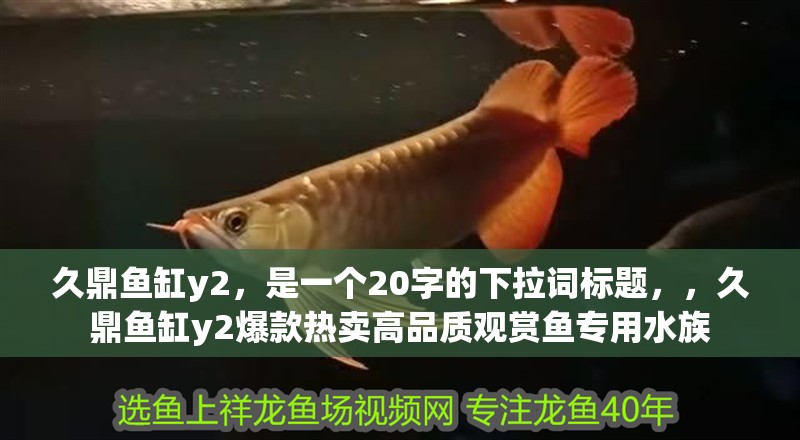 久鼎魚缸y2，是一個20字的下拉詞標題，，久鼎魚缸y2爆款熱賣高品質觀賞魚專用水族