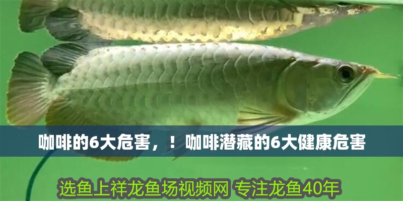 咖啡的6大危害，！咖啡潛藏的6大健康危害