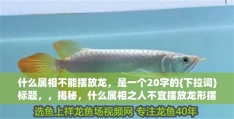 什么屬相不能擺放龍，是一個(gè)20字的{下拉詞}標(biāo)題，，揭秘，什么屬相之人不宜擺放龍形擺 什么屬相不能擺放龍，是一個(gè)20字的{下拉詞}標(biāo)題，，揭秘，什么屬相之人不宜擺放龍形擺 龍魚(yú)百科 第4張